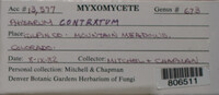 Image Associated With the Occurence